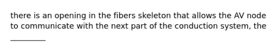 there is an opening in the fibers skeleton that allows the AV node to communicate with the next part of the conduction system, the _________