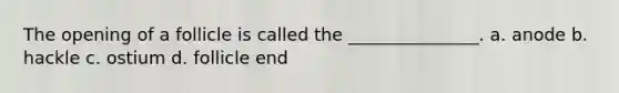 The opening of a follicle is called the _______________. a. anode b. hackle c. ostium d. follicle end
