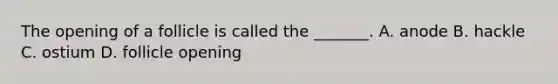 The opening of a follicle is called the _______. A. anode B. hackle C. ostium D. follicle opening
