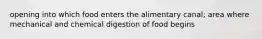 opening into which food enters the alimentary canal; area where mechanical and chemical digestion of food begins