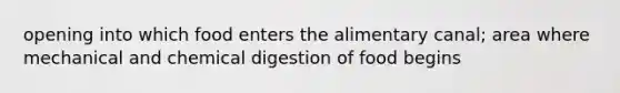 opening into which food enters the alimentary canal; area where mechanical and chemical digestion of food begins