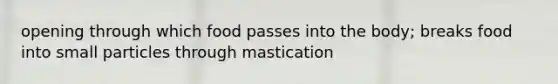 opening through which food passes into the body; breaks food into small particles through mastication