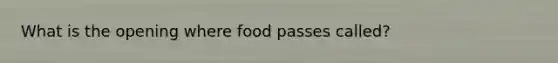 What is the opening where food passes called?