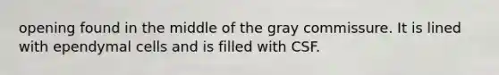 opening found in the middle of the gray commissure. It is lined with ependymal cells and is filled with CSF.