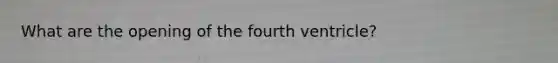 What are the opening of the fourth ventricle?