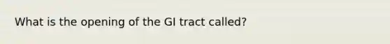 What is the opening of the GI tract called?