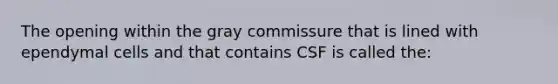 The opening within the gray commissure that is lined with ependymal cells and that contains CSF is called the: