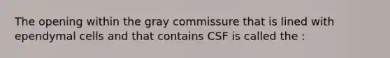 The opening within the gray commissure that is lined with ependymal cells and that contains CSF is called the :