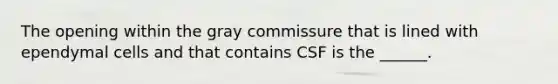 The opening within the gray commissure that is lined with ependymal cells and that contains CSF is the ______.