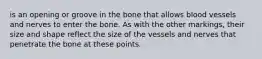 is an opening or groove in the bone that allows blood vessels and nerves to enter the bone. As with the other markings, their size and shape reflect the size of the vessels and nerves that penetrate the bone at these points.