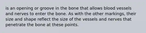 is an opening or groove in the bone that allows blood vessels and nerves to enter the bone. As with the other markings, their size and shape reflect the size of the vessels and nerves that penetrate the bone at these points.