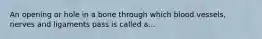 An opening or hole in a bone through which blood vessels, nerves and ligaments pass is called a...
