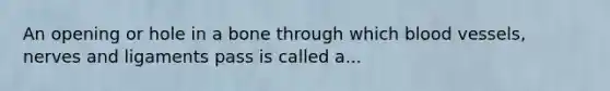An opening or hole in a bone through which <a href='https://www.questionai.com/knowledge/kZJ3mNKN7P-blood-vessels' class='anchor-knowledge'>blood vessels</a>, nerves and ligaments pass is called a...