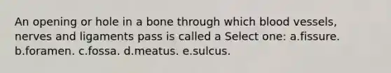 An opening or hole in a bone through which blood vessels, nerves and ligaments pass is called a Select one: a.fissure. b.foramen. c.fossa. d.meatus. e.sulcus.