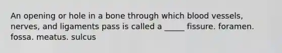 An opening or hole in a bone through which blood vessels, nerves, and ligaments pass is called a _____ fissure. foramen. fossa. meatus. sulcus