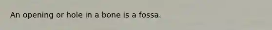 An opening or hole in a bone is a fossa.