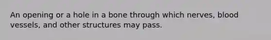 An opening or a hole in a bone through which nerves, blood vessels, and other structures may pass.