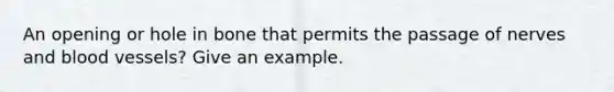 An opening or hole in bone that permits the passage of nerves and blood vessels? Give an example.