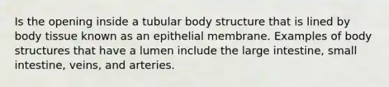 Is the opening inside a tubular body structure that is lined by body tissue known as an epithelial membrane. Examples of body structures that have a lumen include the large intestine, small intestine, veins, and arteries.