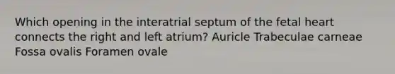 Which opening in the interatrial septum of the fetal heart connects the right and left atrium? Auricle Trabeculae carneae Fossa ovalis Foramen ovale