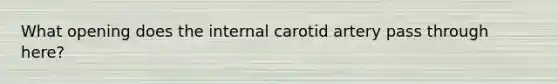 What opening does the internal carotid artery pass through here?