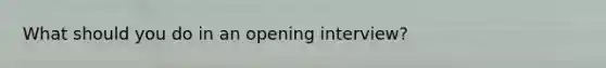 What should you do in an opening interview?