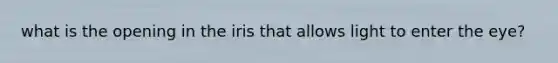 what is the opening in the iris that allows light to enter the eye?