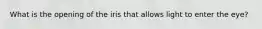 What is the opening of the iris that allows light to enter the eye?