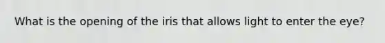What is the opening of the iris that allows light to enter the eye?