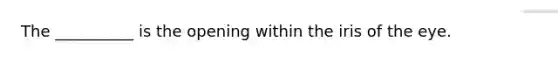 The __________ is the opening within the iris of the eye.
