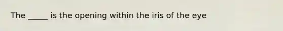 The _____ is the opening within the iris of the eye