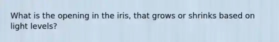 What is the opening in the iris, that grows or shrinks based on light levels?