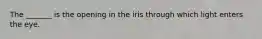 The _______ is the opening in the iris through which light enters the eye.