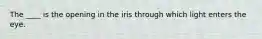 The ____ is the opening in the iris through which light enters the eye.