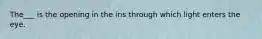 The___ is the opening in the iris through which light enters the eye.