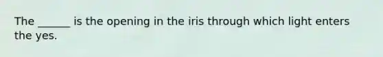 The ______ is the opening in the iris through which light enters the yes.