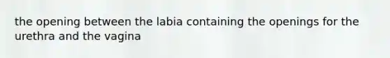 the opening between the labia containing the openings for the urethra and the vagina