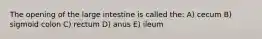 The opening of the large intestine is called the: A) cecum B) sigmoid colon C) rectum D) anus E) ileum