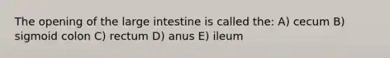 The opening of the large intestine is called the: A) cecum B) sigmoid colon C) rectum D) anus E) ileum