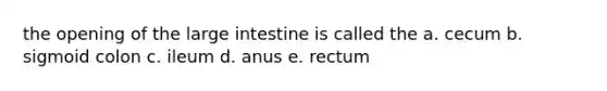 the opening of the <a href='https://www.questionai.com/knowledge/kGQjby07OK-large-intestine' class='anchor-knowledge'>large intestine</a> is called the a. cecum b. sigmoid colon c. ileum d. anus e. rectum