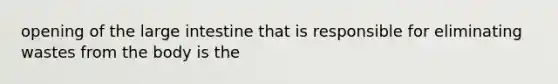 opening of the <a href='https://www.questionai.com/knowledge/kGQjby07OK-large-intestine' class='anchor-knowledge'>large intestine</a> that is responsible for eliminating wastes from the body is the