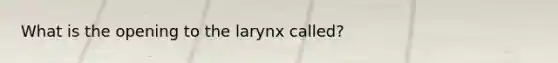 What is the opening to the larynx called?