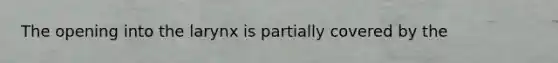 The opening into the larynx is partially covered by the