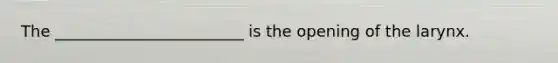 The ________________________ is the opening of the larynx.