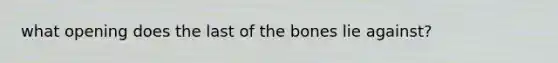 what opening does the last of the bones lie against?