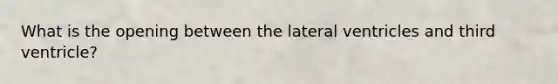 What is the opening between the lateral ventricles and third ventricle?
