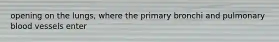 opening on the lungs, where the primary bronchi and pulmonary blood vessels enter