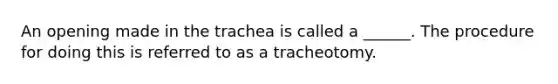 An opening made in the trachea is called a ______. The procedure for doing this is referred to as a tracheotomy.