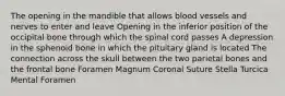 The opening in the mandible that allows blood vessels and nerves to enter and leave Opening in the inferior position of the occipital bone through which the spinal cord passes A depression in the sphenoid bone in which the pituitary gland is located The connection across the skull between the two parietal bones and the frontal bone Foramen Magnum Coronal Suture Stella Turcica Mental Foramen