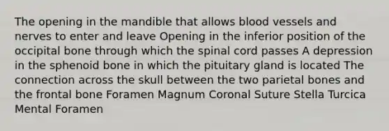 The opening in the mandible that allows blood vessels and nerves to enter and leave Opening in the inferior position of the occipital bone through which the spinal cord passes A depression in the sphenoid bone in which the pituitary gland is located The connection across the skull between the two parietal bones and the frontal bone Foramen Magnum Coronal Suture Stella Turcica Mental Foramen